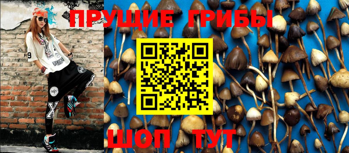 Галлюциногенные грибы прущие грибы  Вход с VPN  Верхний Уфалей 