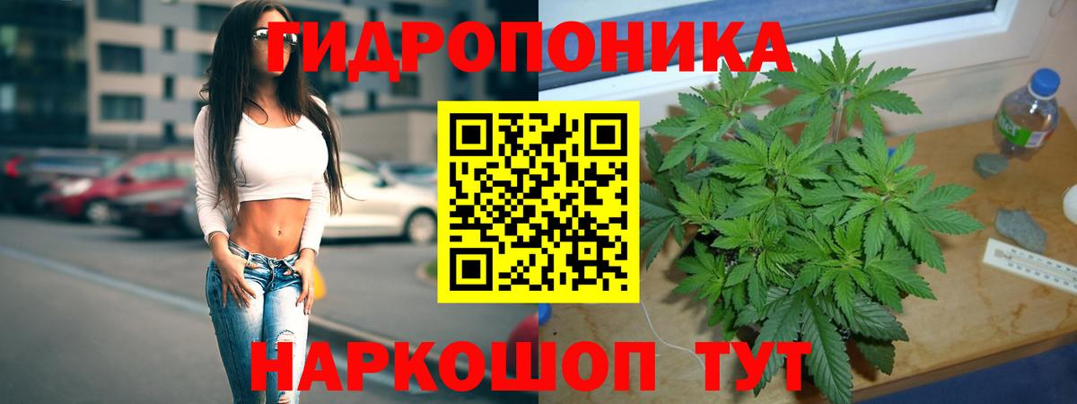 Бошки марихуана конопля Верхний Уфалей